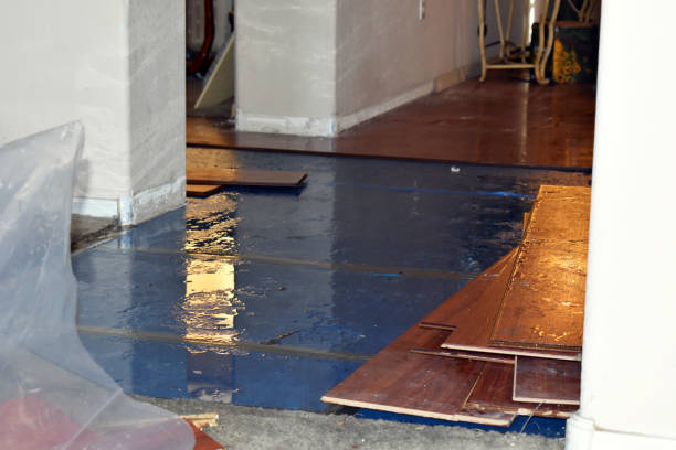 Professional Burst Pipe Water Damage technician working in North Lima, OH